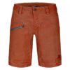 Elevenate-Elevenate-Pebble-Shorts-M-219-23---Geilo-Sport-2