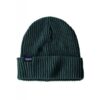 Patagonia-Patagonia Fishermans Rolled Beanie-P29105-Geilo Sport-1